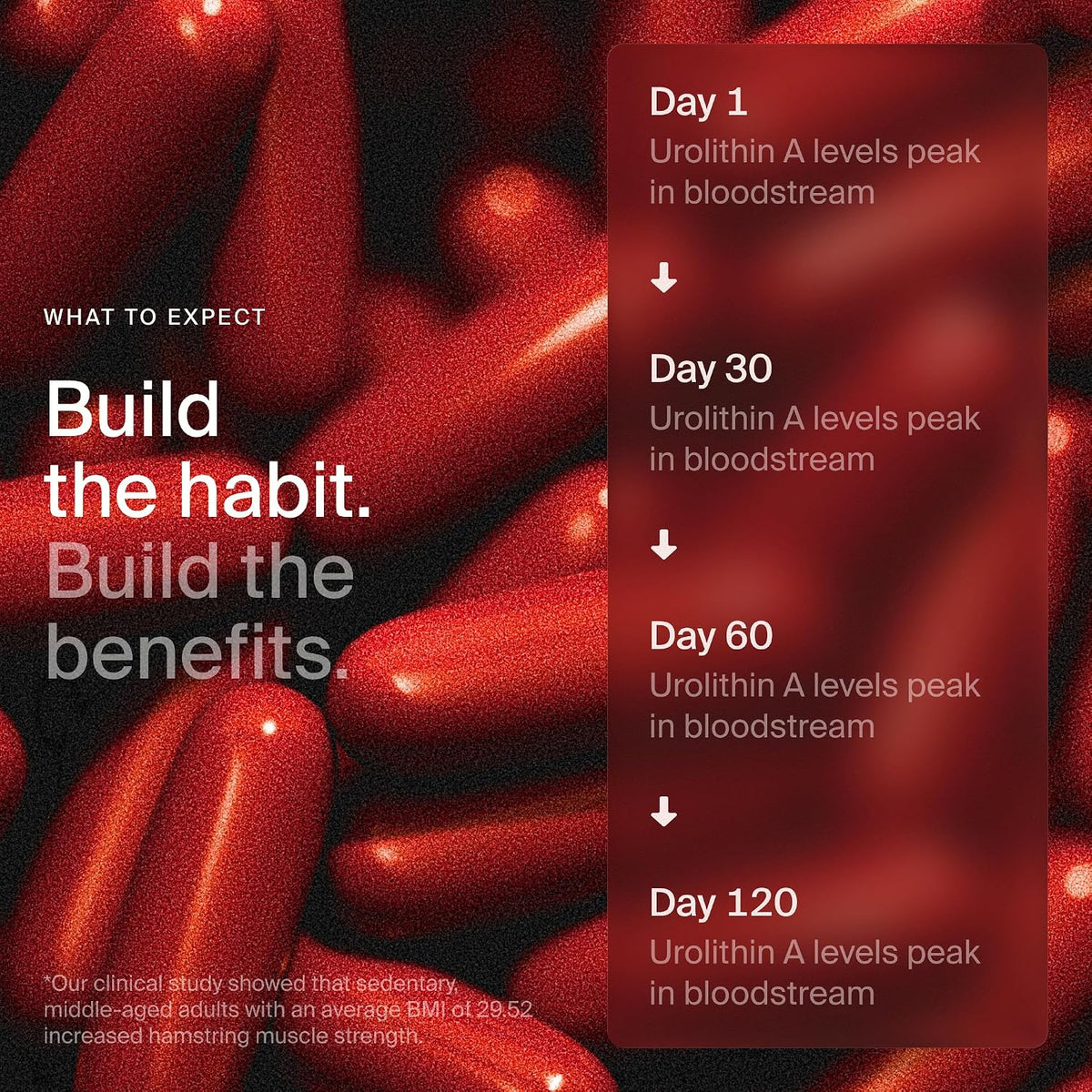 Timeline Mitopure Urolithin A Supplement Softgels - Clinically Proven Support for Healthy Aging and Cellular Renewal - Mitoceutical for Muscle Support and Longevity